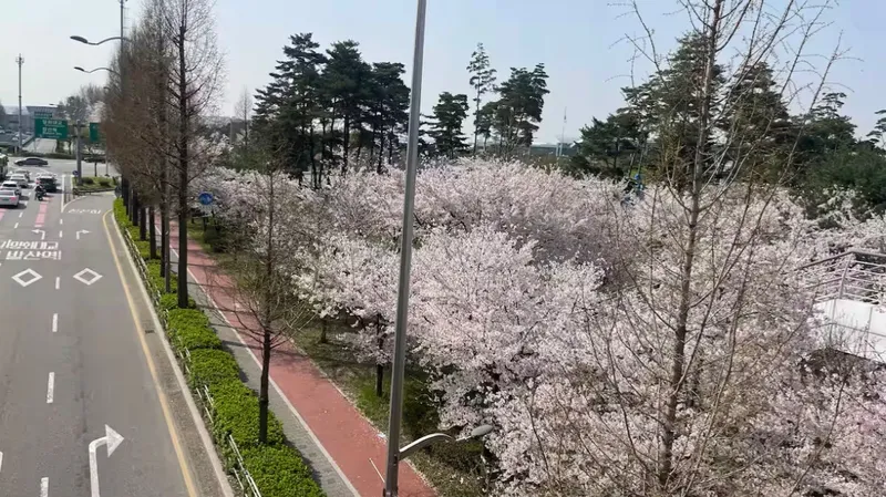 [서울 강서] 김포공항10분 양창형 14