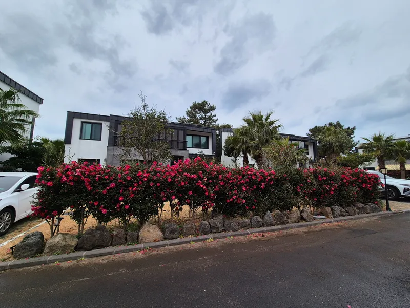 [Hallim, Jeju] Two-story independent townhouse near Hyeopjae Beach 56