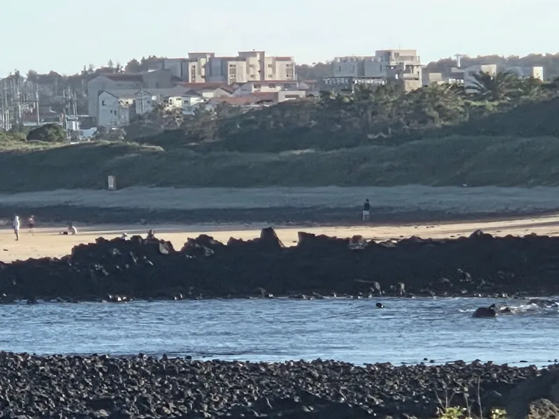[Pyoseon, Seogwipo] Samseokjip, Sogeummak & Haebi Beach 5 minutes away, convenient transportation, comfortable and safe 23