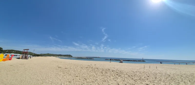 [경북 울진] 울진구산해수욕장 앞  소나무캠핑장(카라반가능캠핑장)동해 31