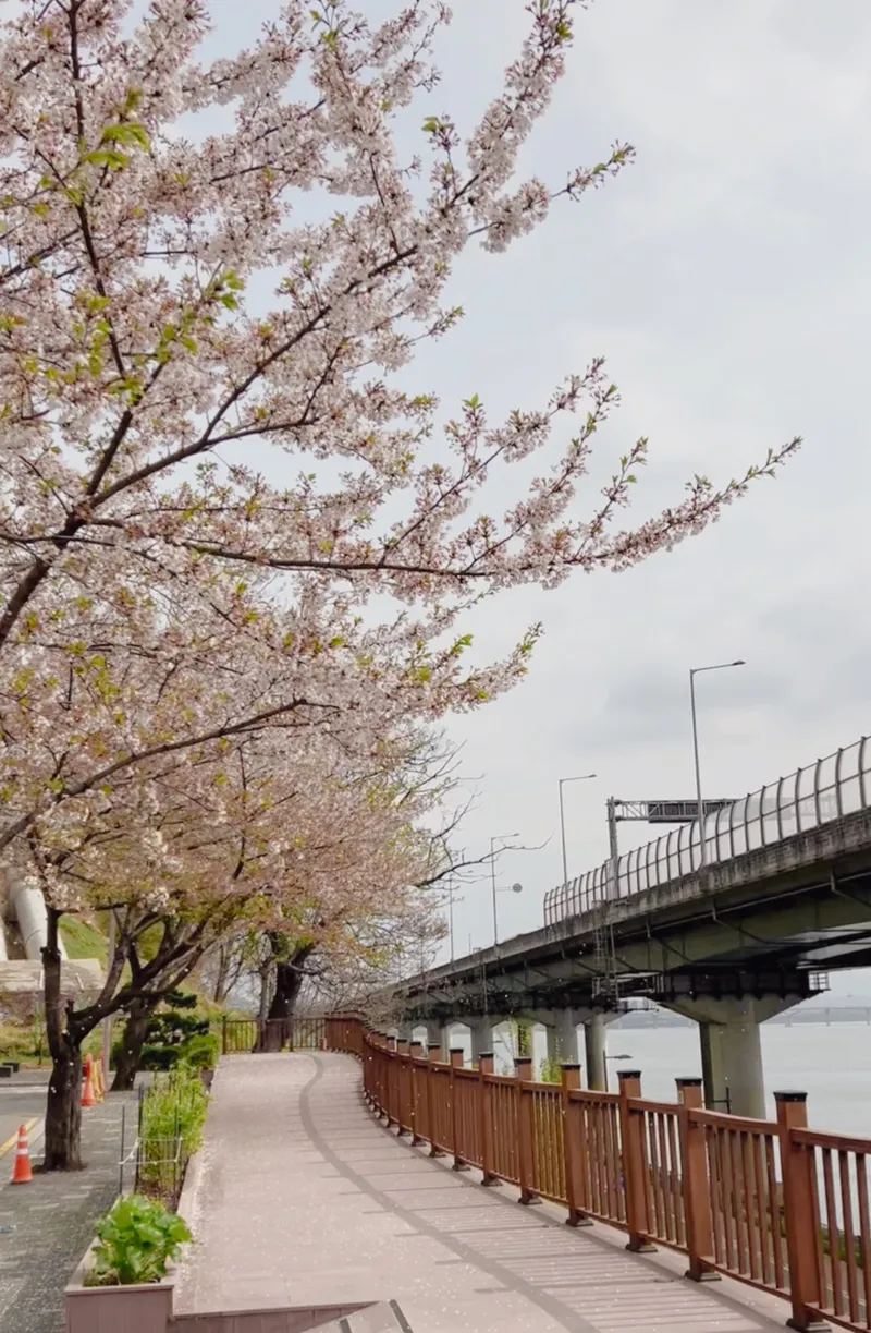 [서울 광진] 워커힐 한강뷰 파노라마 스페셜원룸 28