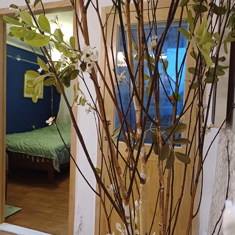 [제주 이호일동] 이호테우해변 바로 앞 오션뷰 2층주택 #공항근처 11