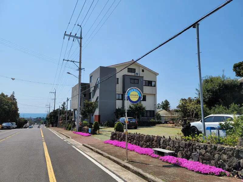 [Namwon, Seogwipo] Jeju Island Wimi Pension #15Days #1Month #1Year 41