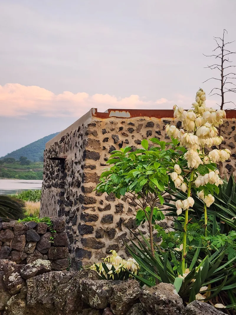 [Gujwa, Jeju] Jeju Rakhado / A House Loved by Artists 58