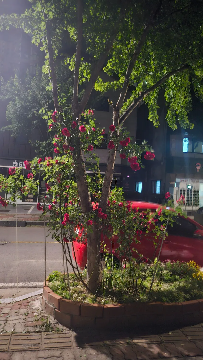 [Yangsan] Mulgeum Cozy House A2 18
