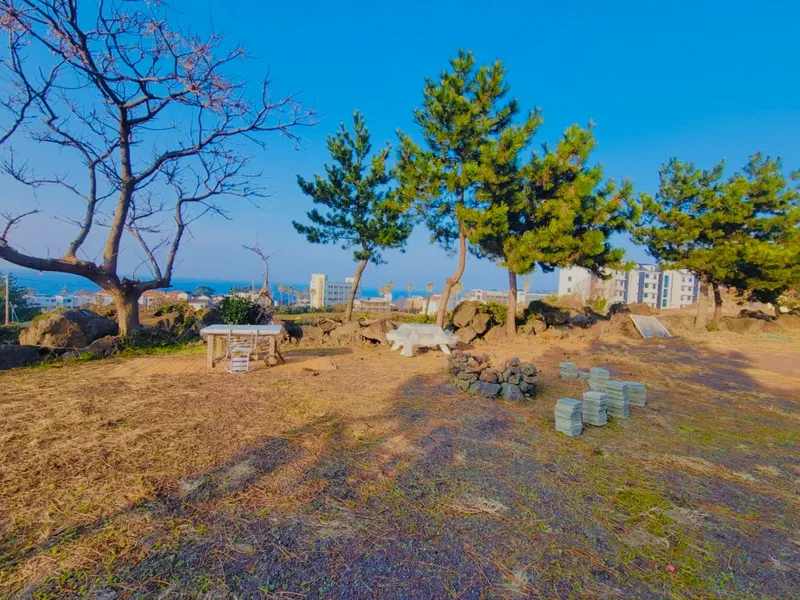 [제주 애월] 가성비 오션뷰 독채 #바베큐 #넓은앞마당 #캠프파이어 21