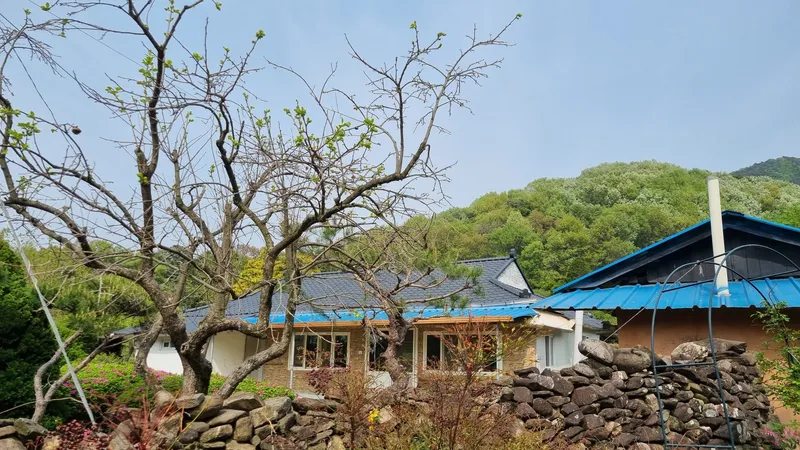 [충남 논산] 시골살이/돌담/한옥/독채/반려동물 31