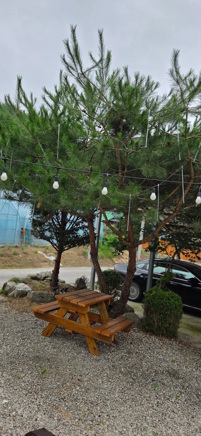 [강원 양구] 조용한 시골 11