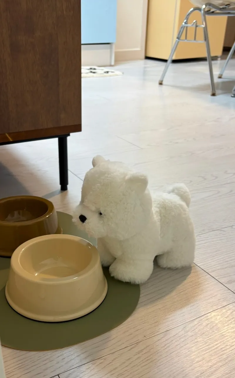 [Wonju] Studio Emotion, Dingga Dingga Fun Space 31