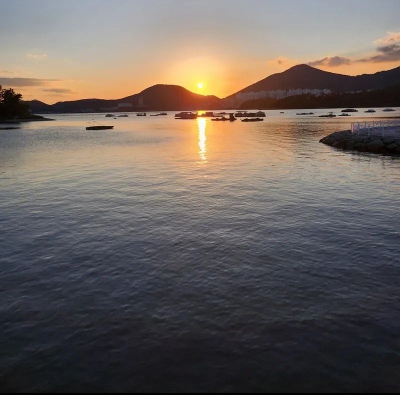[Yeosu] Beachfront marina, yacht marina, waterfront beach, Jangdo Island of Art, free parking 40