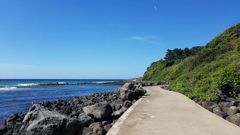 [Aewol, Jeju] A quiet private guesthouse near the Aewol sea 24