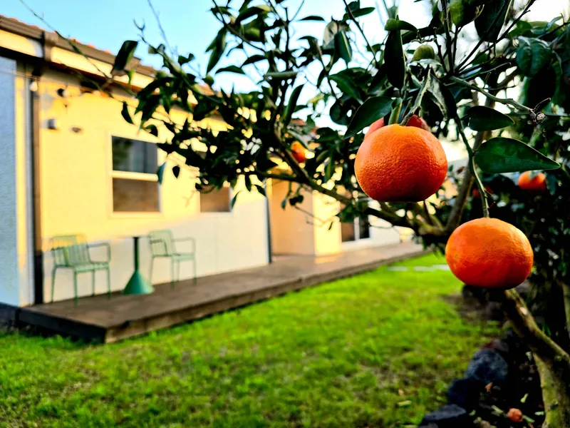 [Hallim, Jeju][Jeju Aewol] A quiet three-room country single-story house with a yard and a beautiful sunset 35