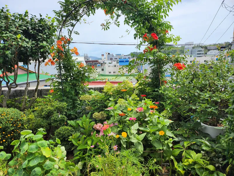 [전남 여수] 확트인 전망과 잘 정돈된 정원 아늑한 숙소 61
