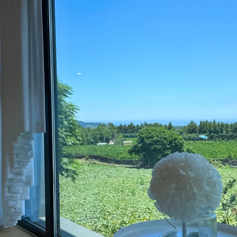 [제주 조천][제주 함덕,조천]28평 제주돌담있는 프라이빗하고 감성,호텔식 타운하우스 6