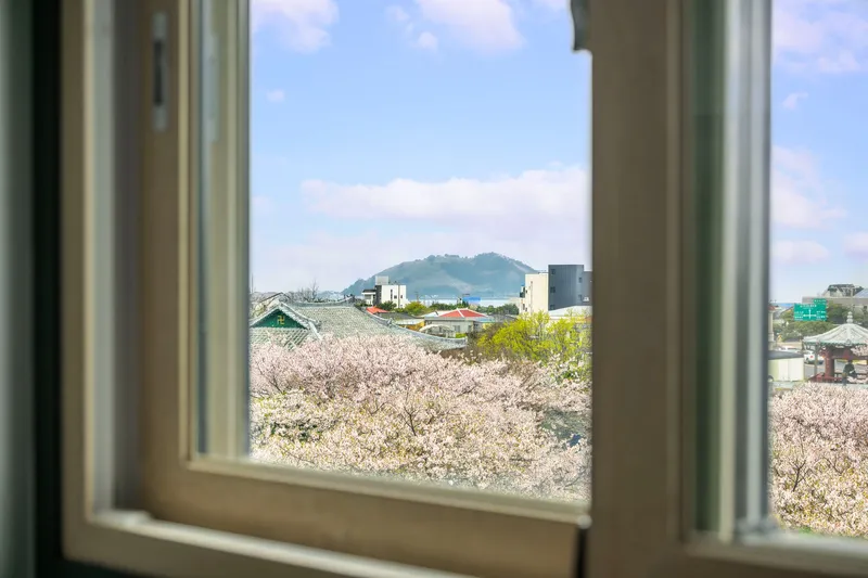 [Hallim, Jeju] Rent House 201 where you can stay with your pet 5