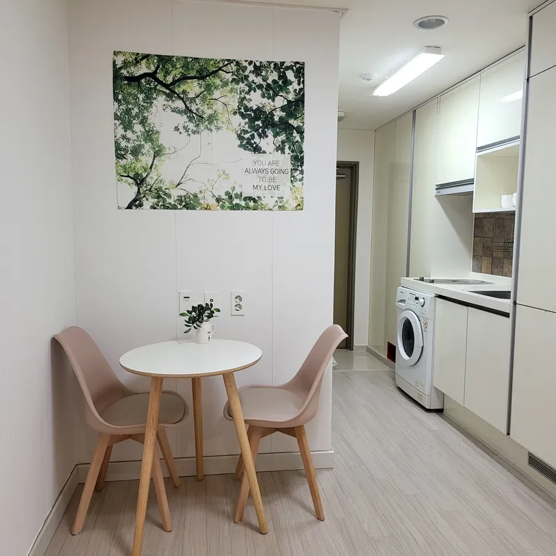 [서울 강남] 강남역삼/안전/조용/2인 18