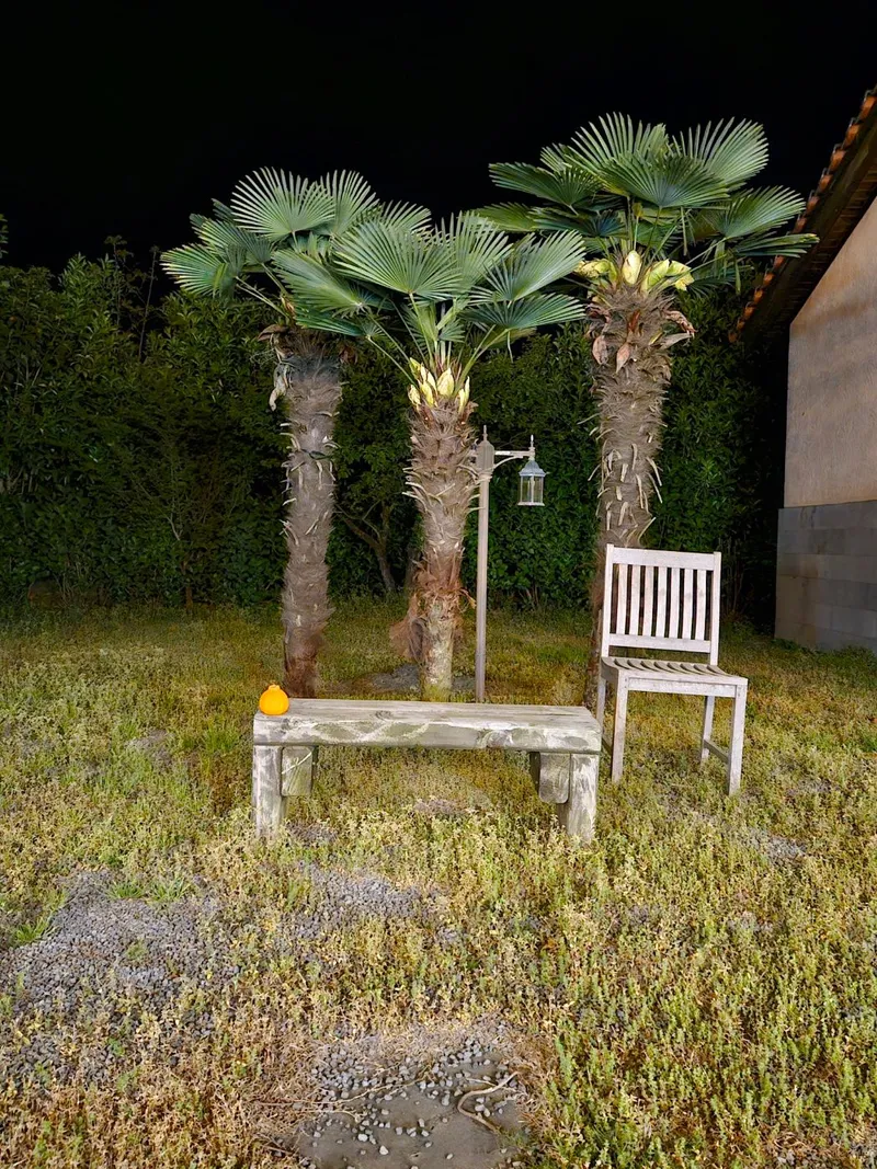 [Aewol, Jeju] Accommodation with cypress trees and healing #Pets allowed 11