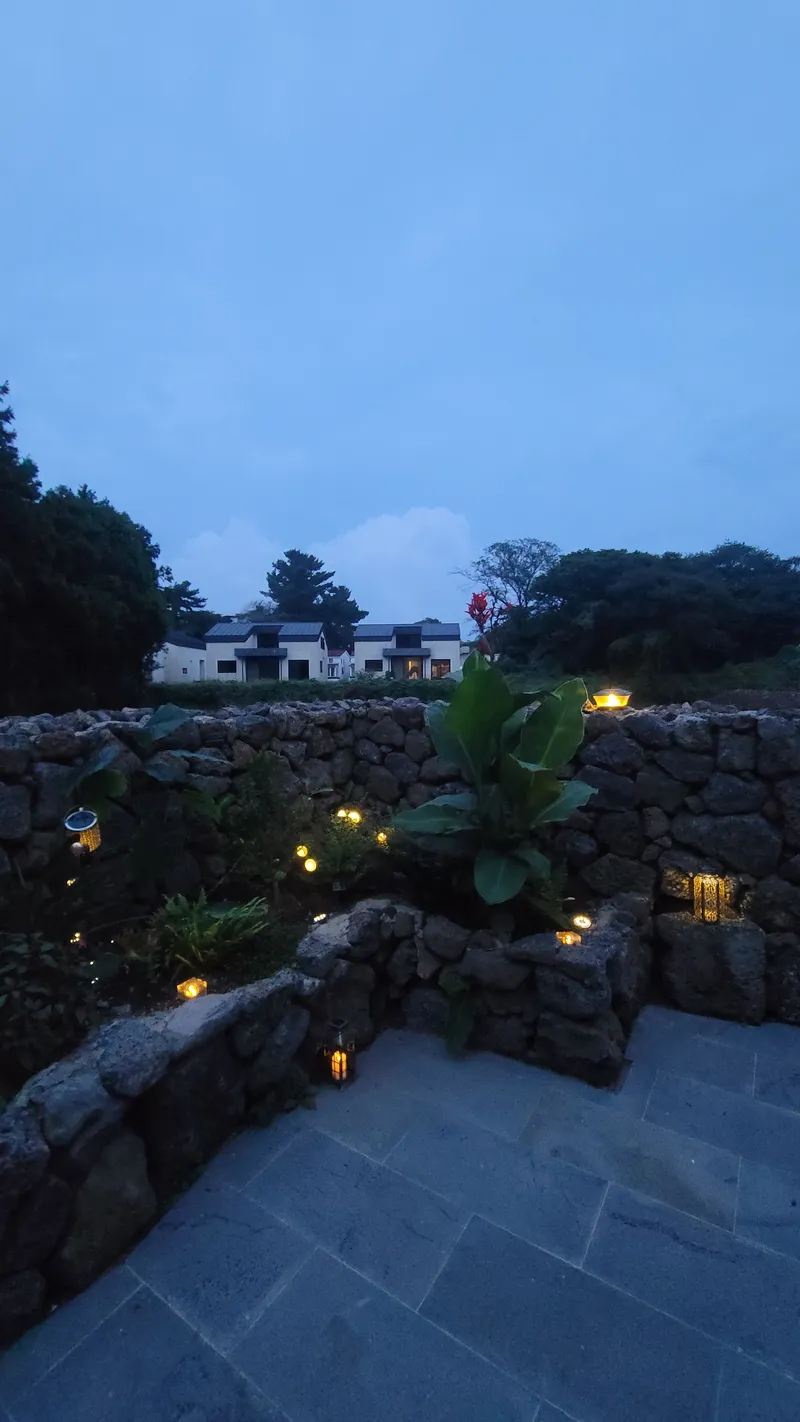 [제주 조천] 9월 오픈 신상숙소 오름 밑 삼나무로 둘러싸인  별채하우스 22