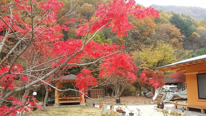 [Sancheong] Jirisan Hanok-style Minbak Pension 17