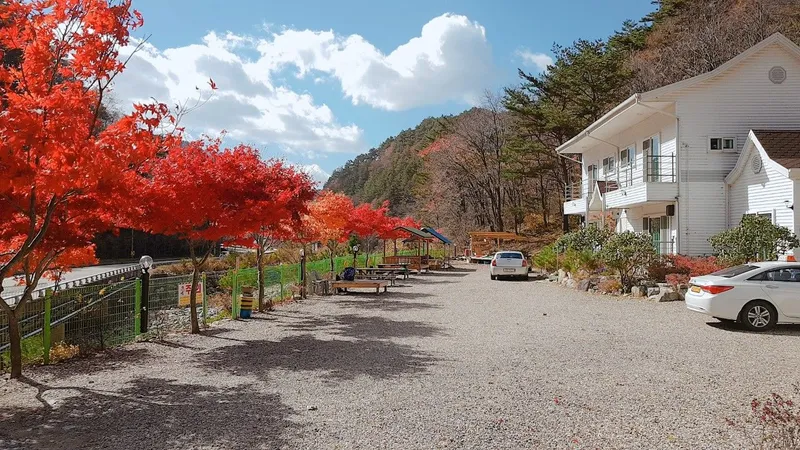 [Inje] Pension, valley, yard, forest, convalescence, hot spring 14