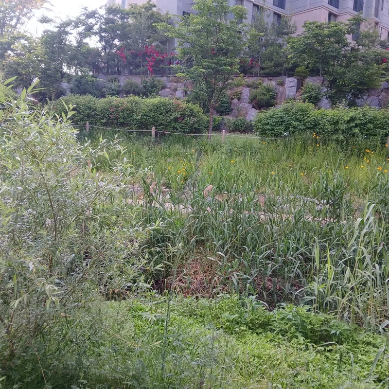 [Goyang] 3-room full option near Hyangdong DMC (Q3+SS2/maximum 8 people) 64