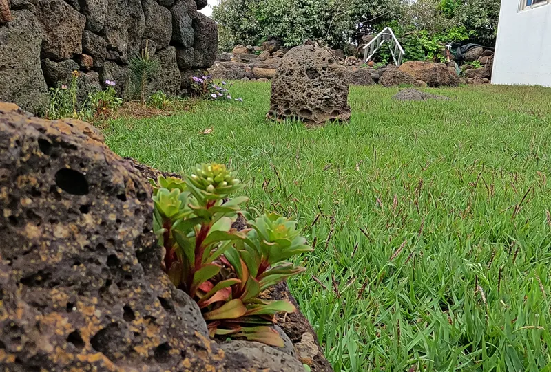 [Hangyeong, Jeju] Private guesthouse near Suwolbong Eongal Beach 21