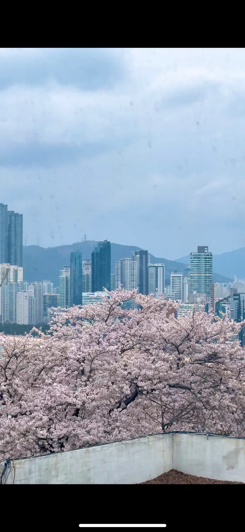 [부산 해운대] 달맞이길 오션뷰가 보이는 대형 평수 19