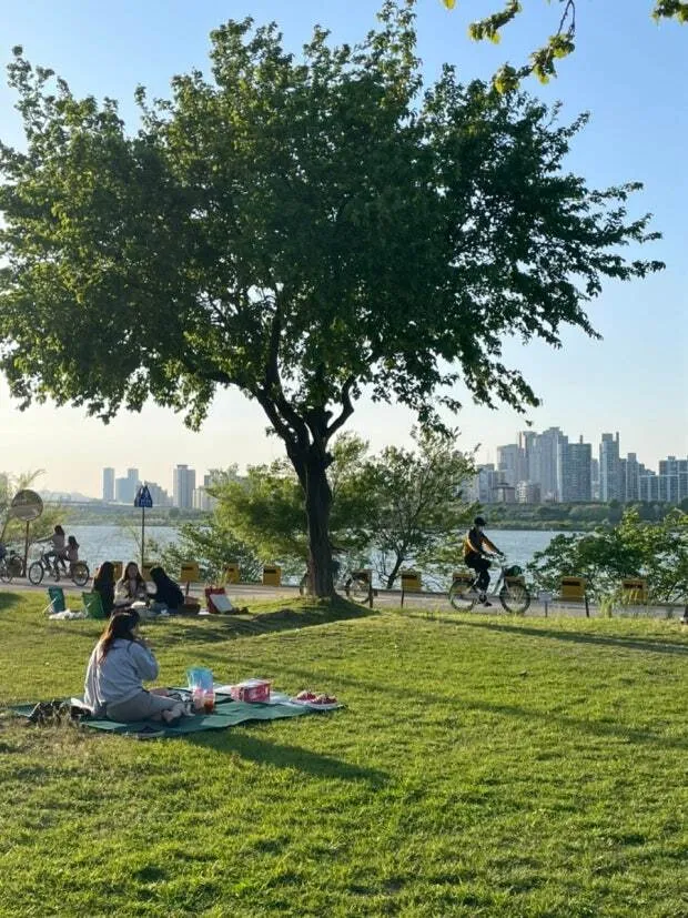 [서울 송파] 무료주차·지상·가족·5인·9호선3분·롯데·잠실·강남 77