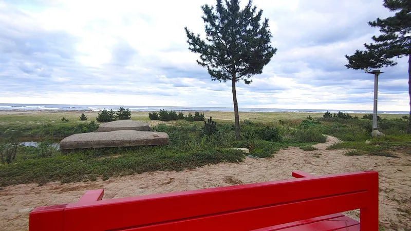 [Yangyang] Naksan Beach Sunrise #Seoraksan Mountain Sunset #Namdaecheon Riverside Trail & Water Sports 36