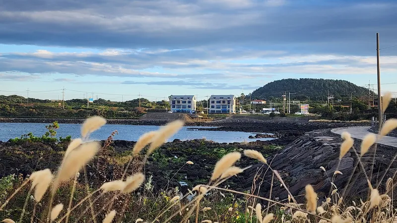 [Gujwa, Jeju] Gimnyeong Ocean View/Seafront Yard/Newly Built in 2023/24-Hour Convenience Store/Duplex Type/B302 34