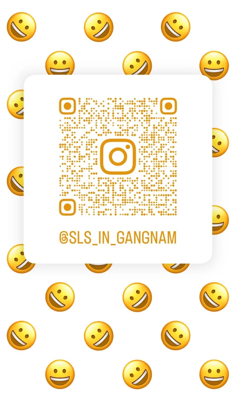 [Seocho, Seoul] #Gangnam Station High-end SLS (Business) 47