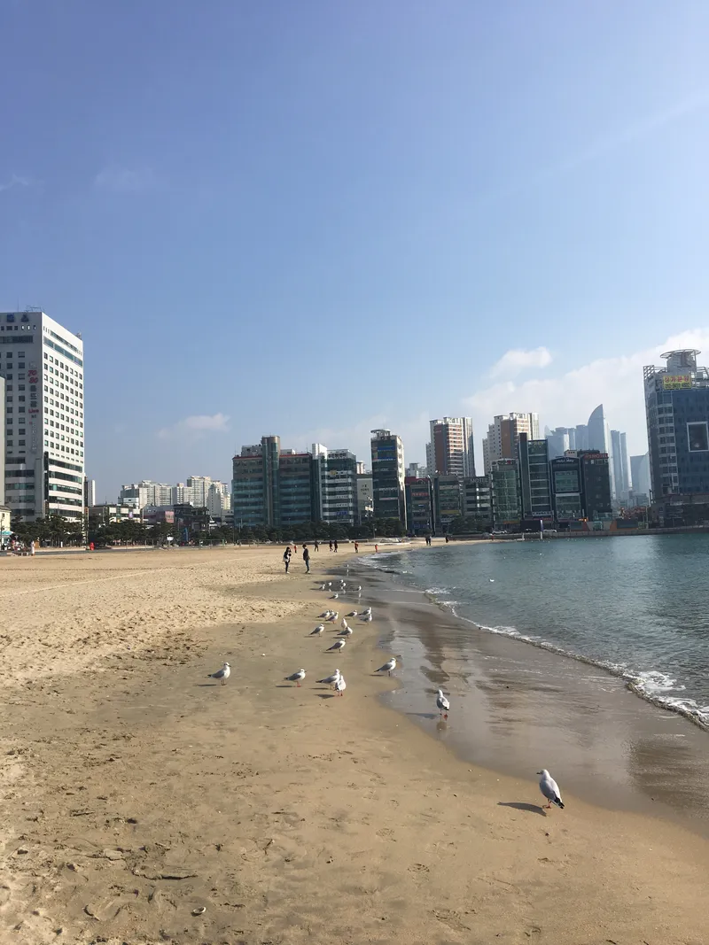 [부산 수영] 광안리 해변앞 방3 17