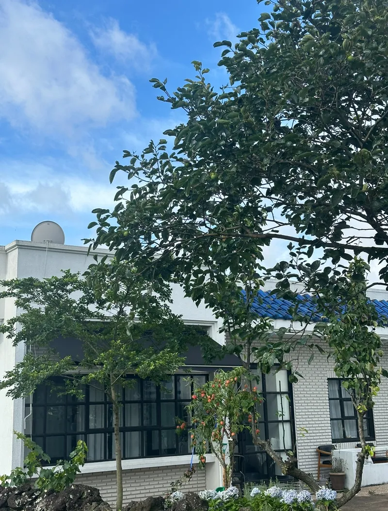 [Aewol, Jeju] Private house stay with a yard_A house where the charm of Jeju and the comfort of home coexist 44
