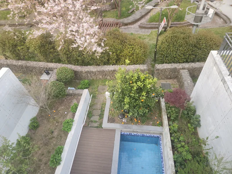 [Seohong-dong, Seogwipo] Healing House in the Park 32
