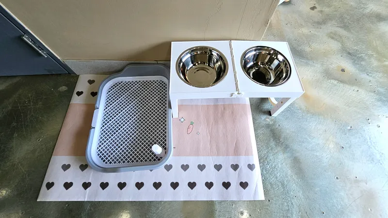 [Namwon, Seogwipo] Dog-friendly, independent stay in Namwon-eup, 3 minutes away, large dogs allowed 29