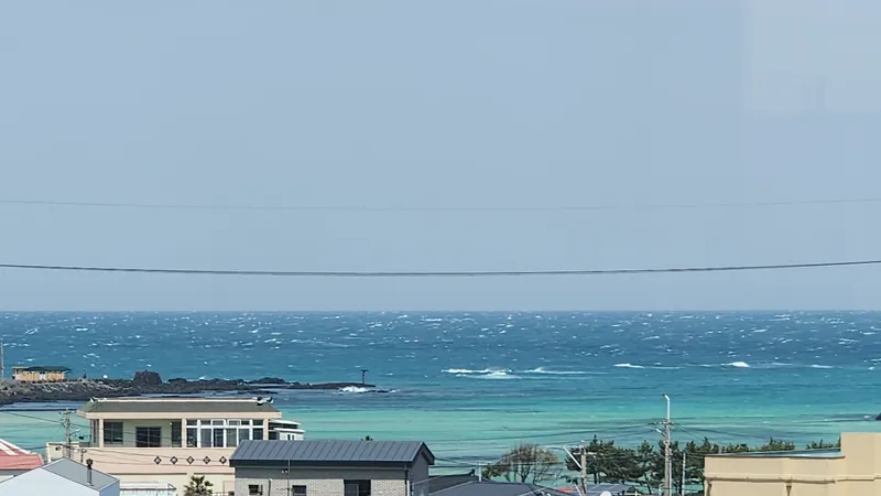 [제주 조천] 함덕해수욕장3분 #오션뷰#올레길19코스옆#유채꽃밭뷰 36