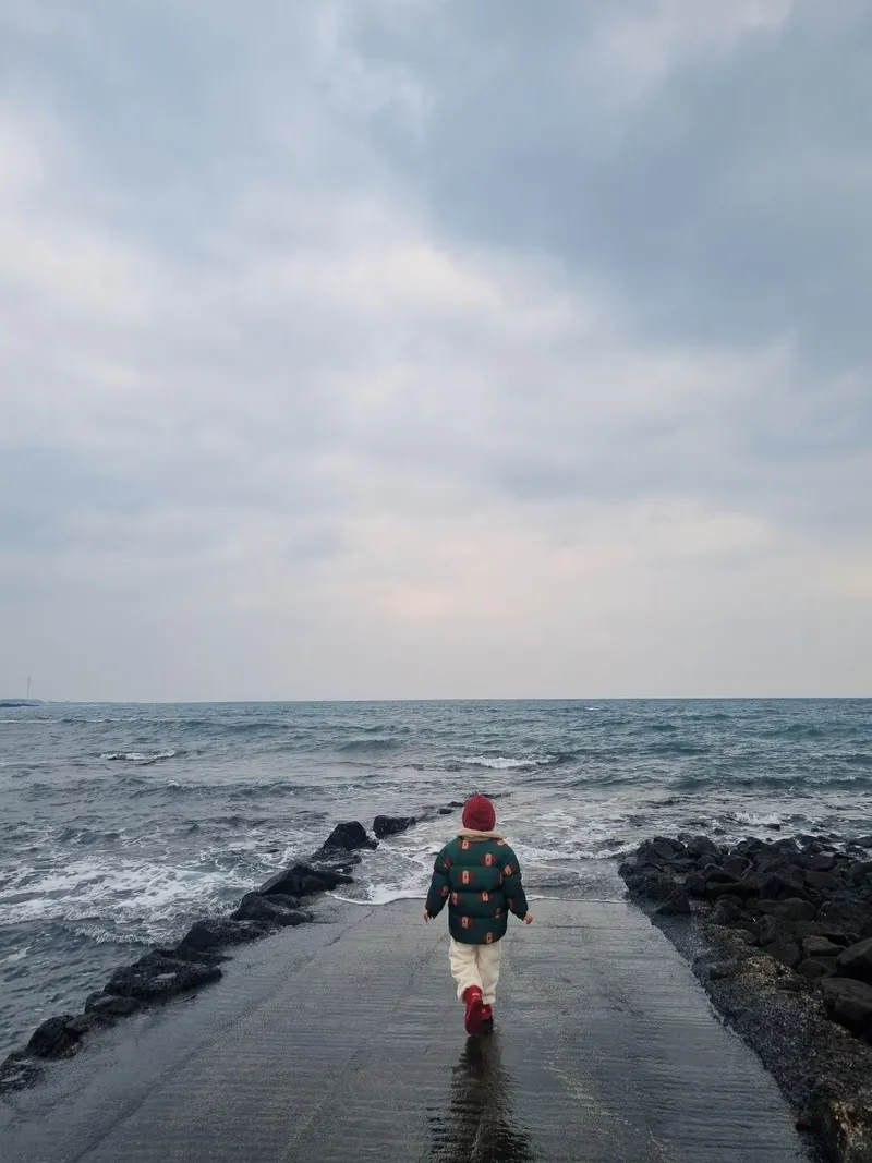 [Topyeong-dong, Seogwipo] (7 days or more) STAY Little Forest #Terrace #CookingStay [Seogwipo] 85