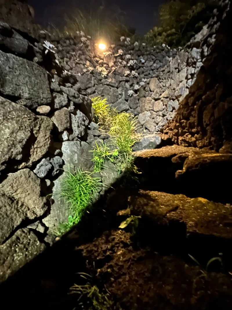 [Hallim, Jeju] Pet-friendly western-facing emotional lodging, private bunker for families 61