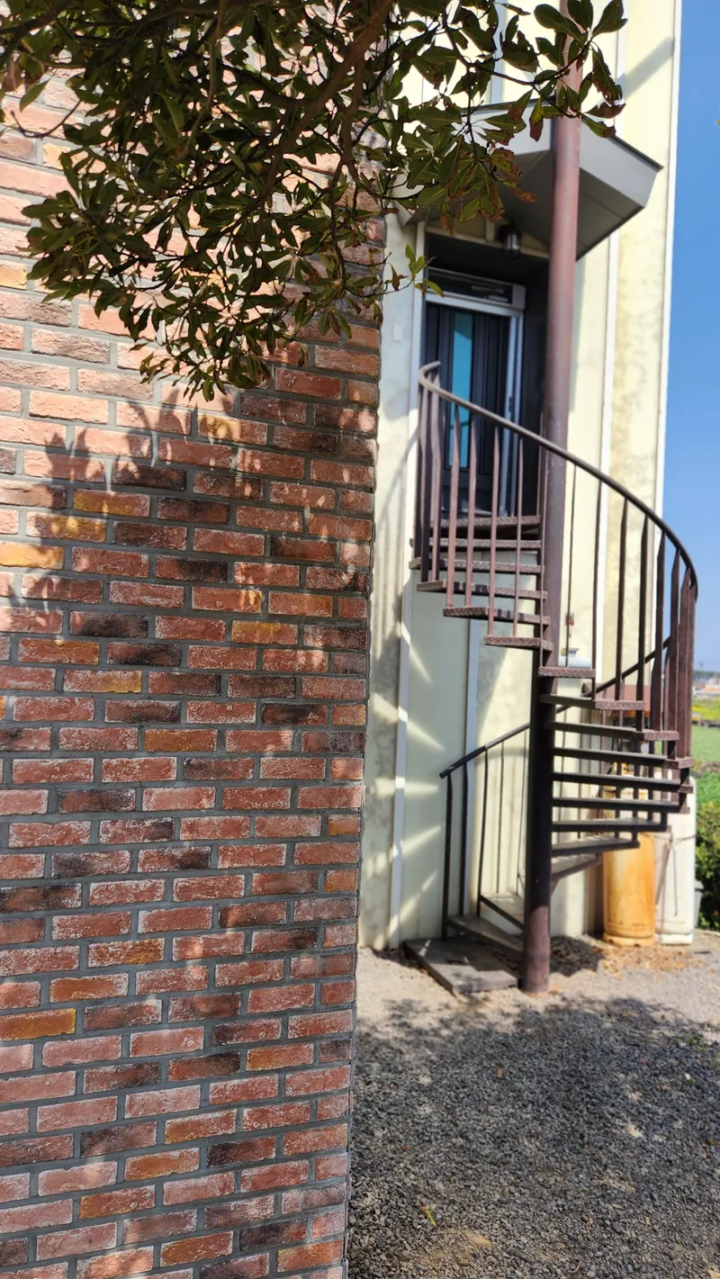 [제주 조천] 함덕해수욕장3분 #오션뷰#올레길19코스옆#유채꽃밭뷰 45