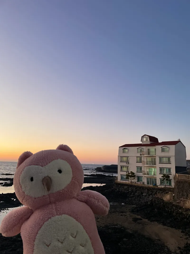 [Hallim, Jeju] Yeonga Full Ocean View with Biyangdo Island 23