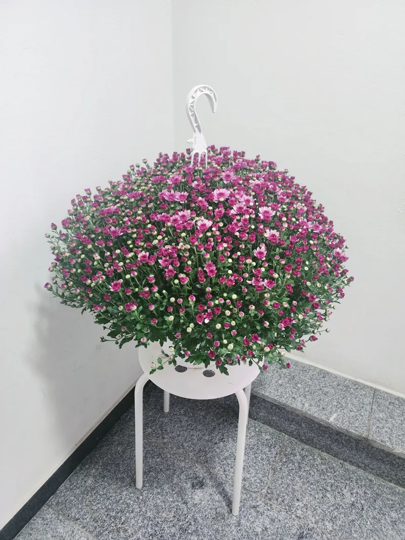 [Goyang] Two-room apartment in Jeongbalsan-dong, Ilsan 18