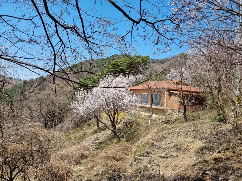 [전북 무주] 민주지산 숲속작은집 9