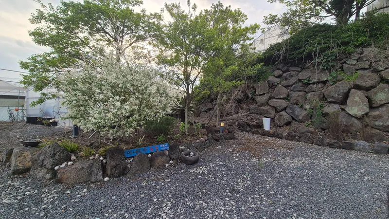[Pyoseon, Seogwipo] Jeju Open Special #Pets Allowed #4 People 44
