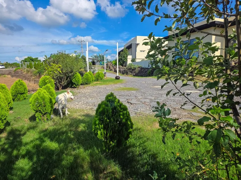 [Hallim, Jeju] Private villa with ocean view #101 53
