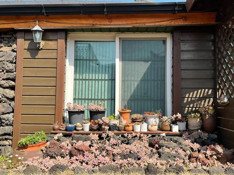 [Hangyeong, Jeju] Right in front of Panpo Port, a quiet and pretty traditional house, Doldamjip (Wonangchae) 34