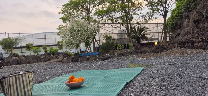 [Pyoseon, Seogwipo] Jeju Open Special #Pets Allowed #4 People 38