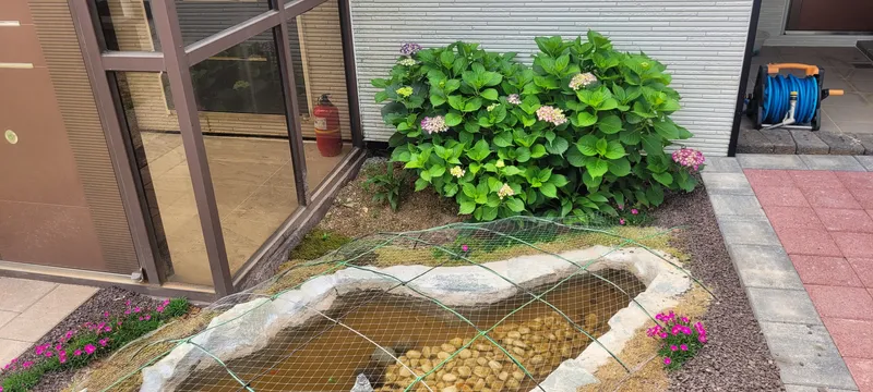 [Hadong] Private, independent house with a great view, pets (small) allowed 20
