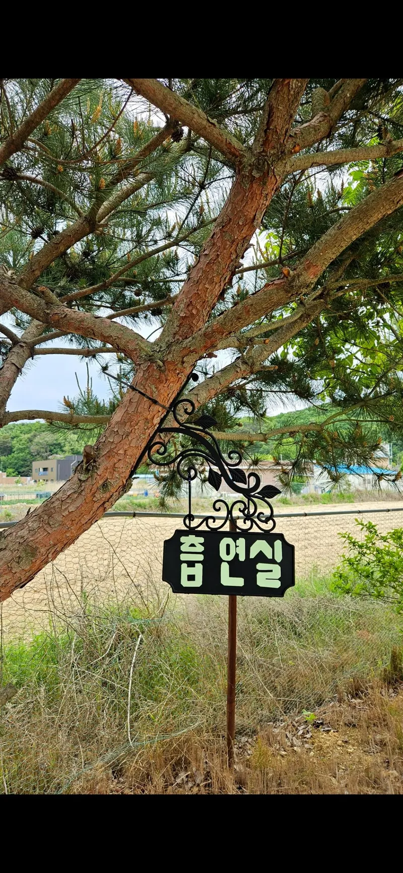 [Ganghwa, Incheon] Private private terrace 203 17