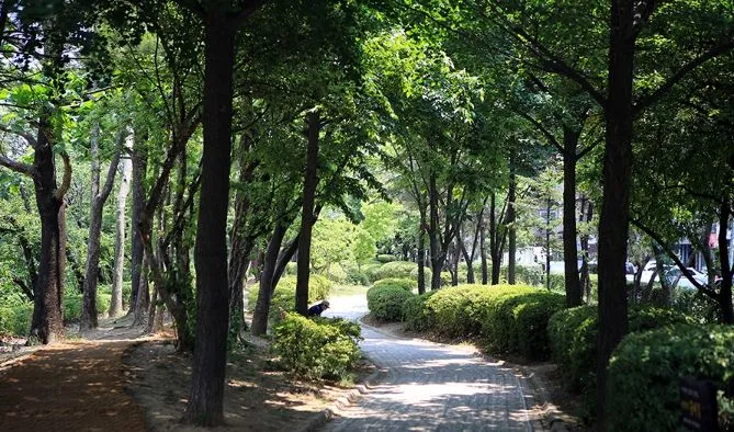 [인천 부평] 부평구청/굴포천역 역세권 전망맛집3  #수변공원 산책 힐링 11