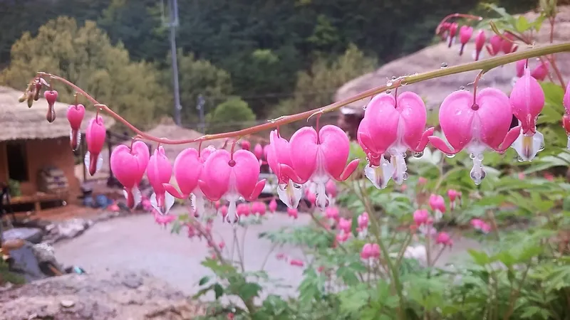 [전남 구례] 섬진강변  청정산골 황토구들방  반려동물가능 20